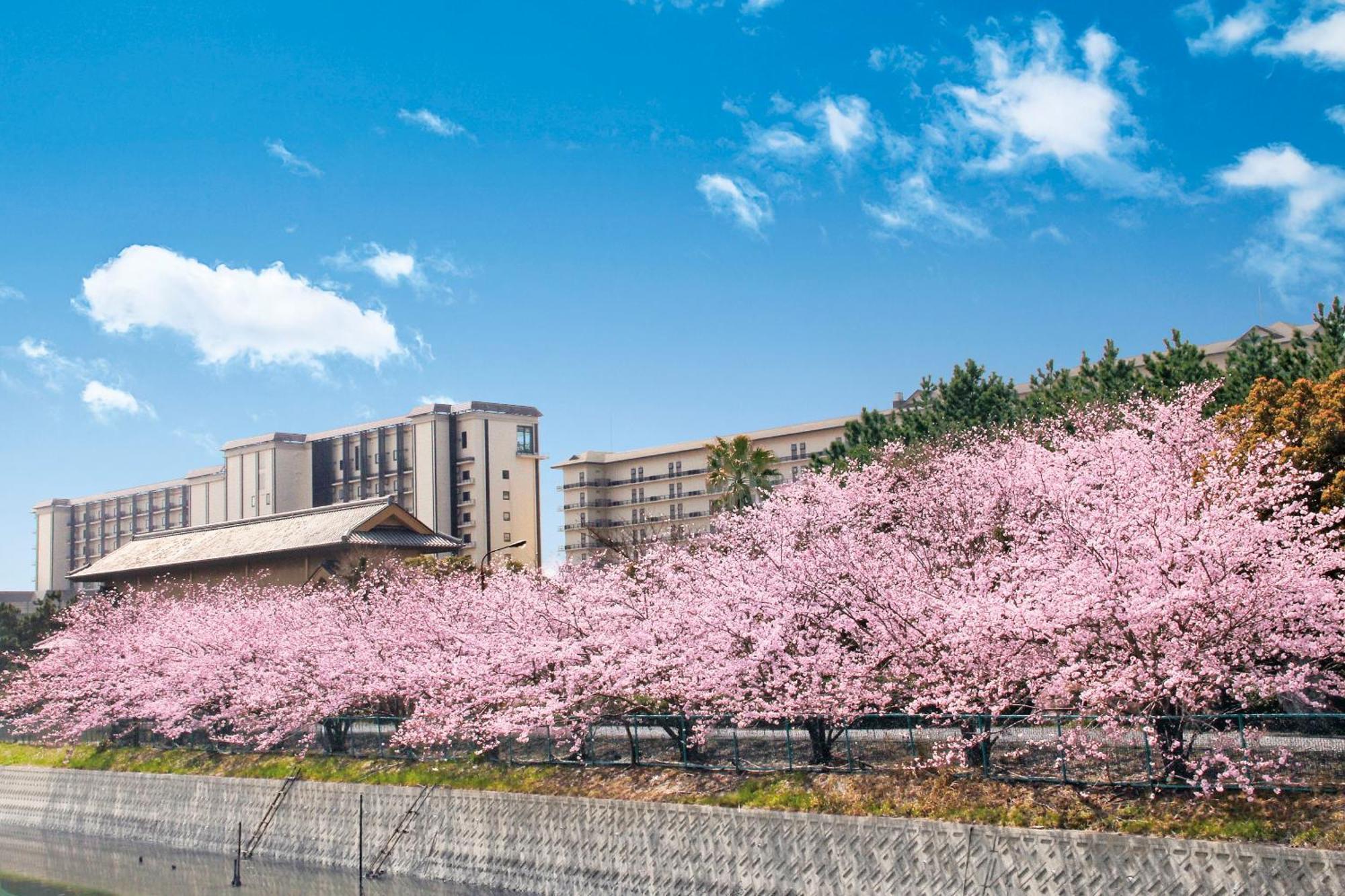 Ryugujo Spa Hotel Mikazuki Fujimitei Kiszarazu Kültér fotó